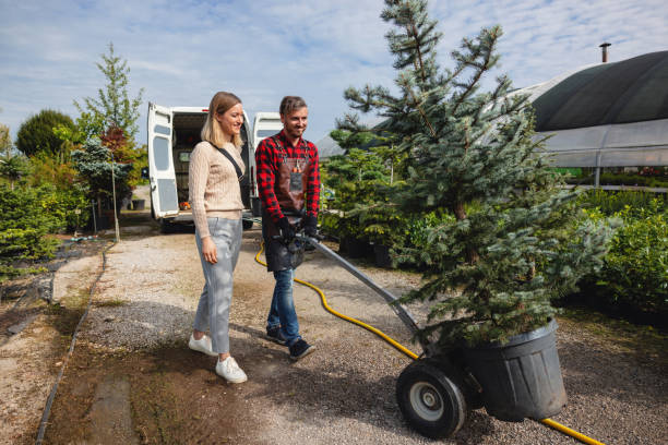  Wesson, MS Tree Services Pros